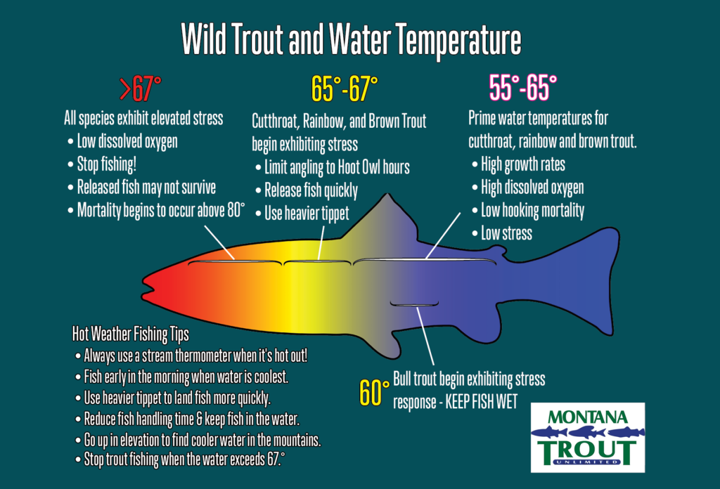 https://montanatu.org/wp-content/uploads/2022/11/Trout-Thermometer-Graphic-1024x696.png