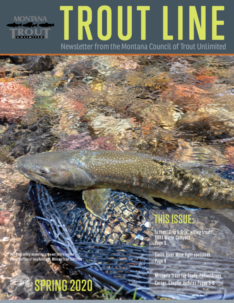 Spring 2020 Trout Line - Montana Trout Unlimited